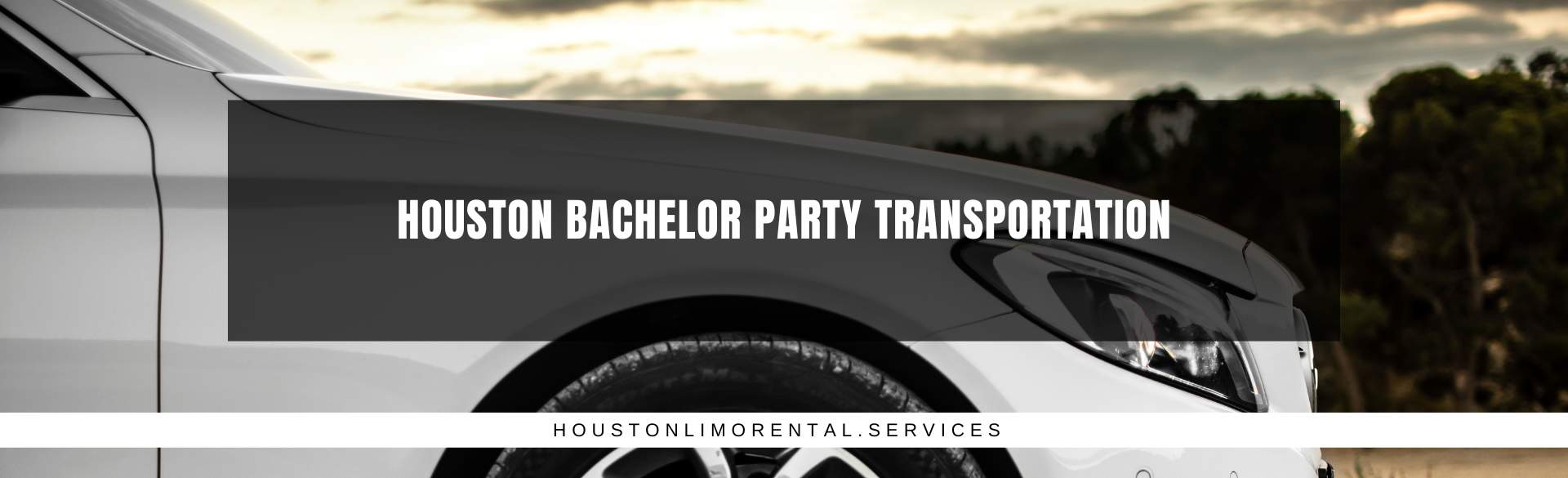 Houston Bachelor Party Transportation