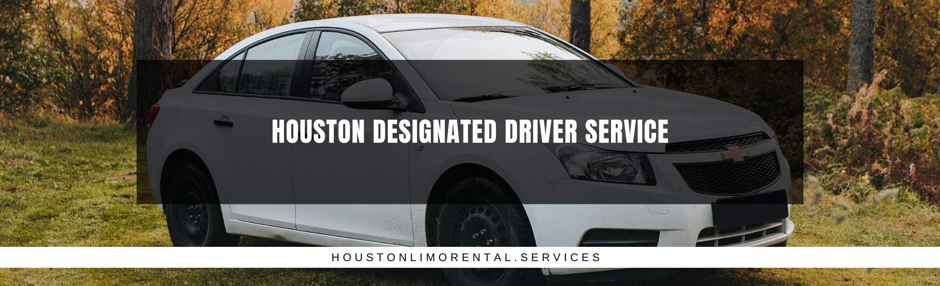 Houston Designated Driver Service