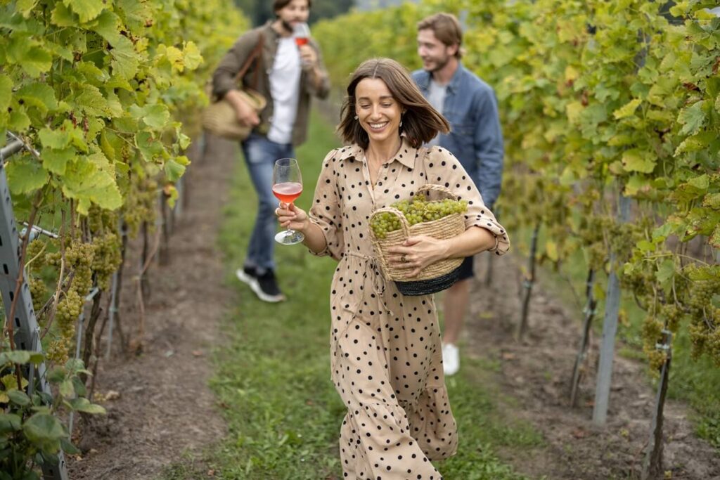 Houston Wine Tours Near Me